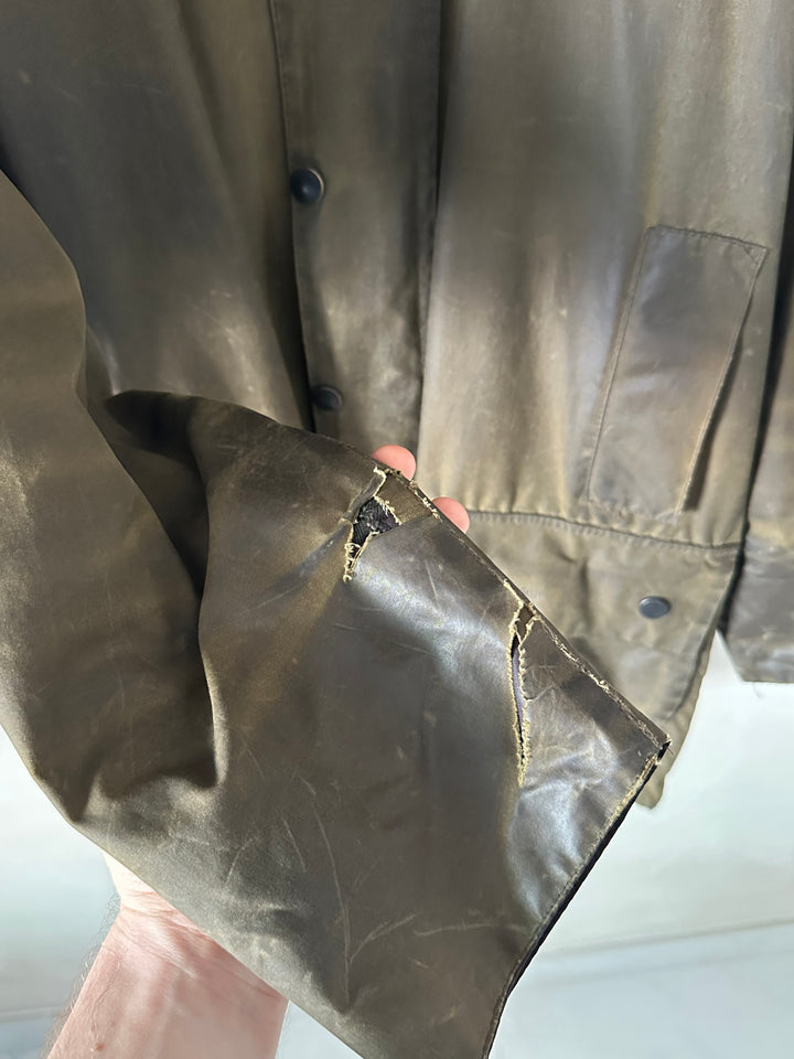 Cerato Barbour - L