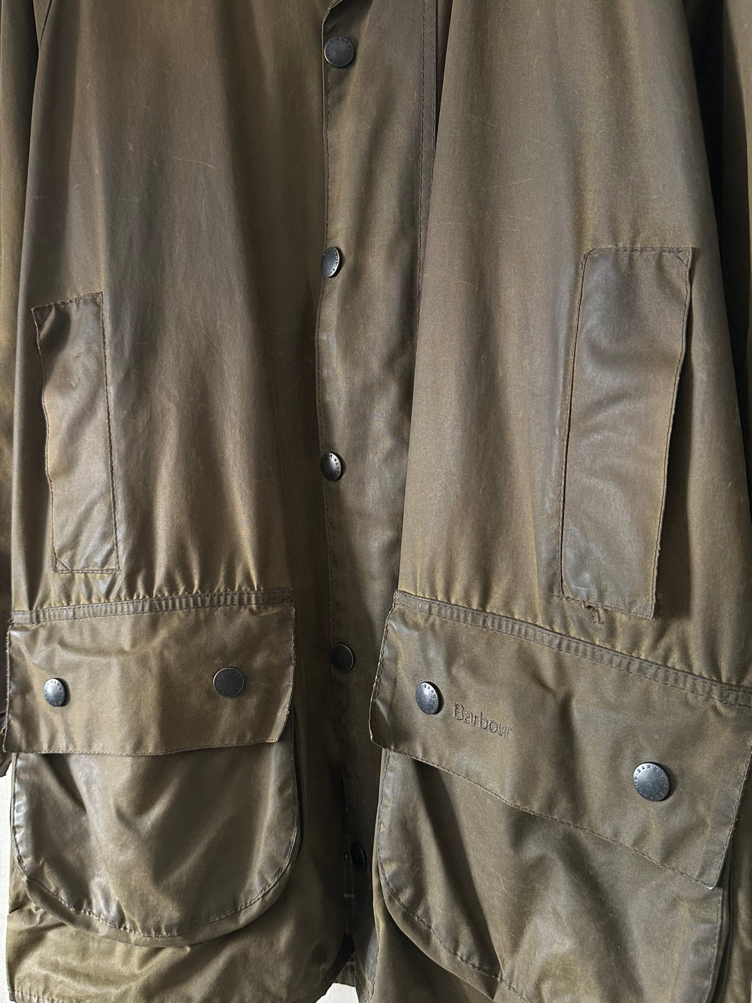 Cerato Barbour - L