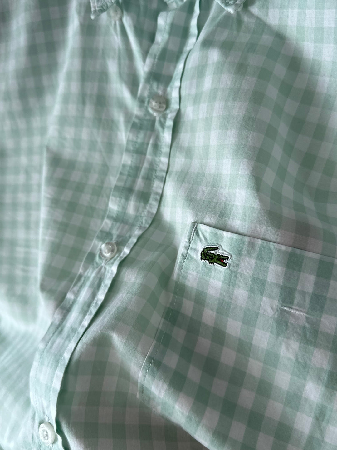 Camicia Lacoste - M
