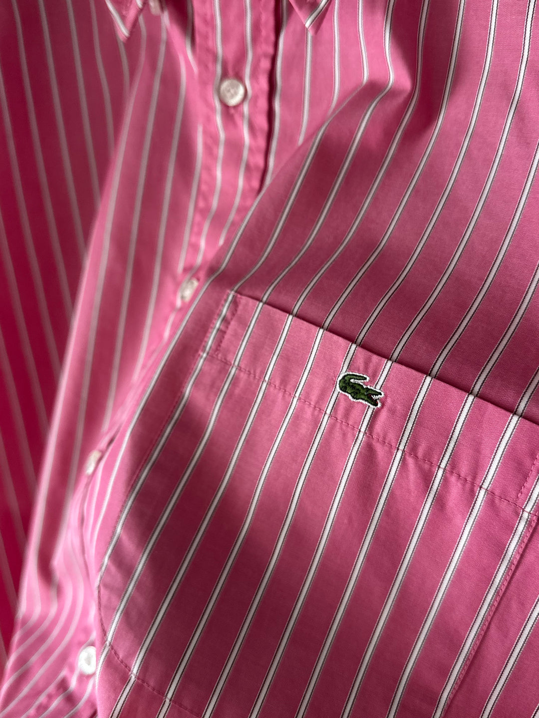 Camicia Lacoste - L