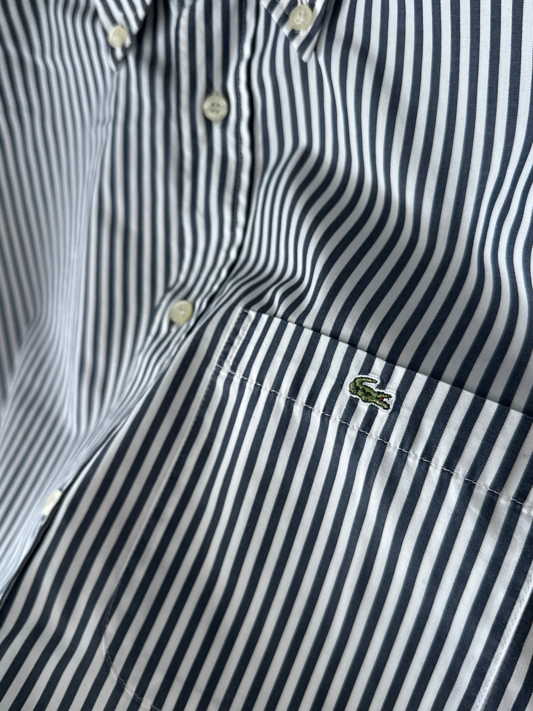 Camicia Lacoste - L