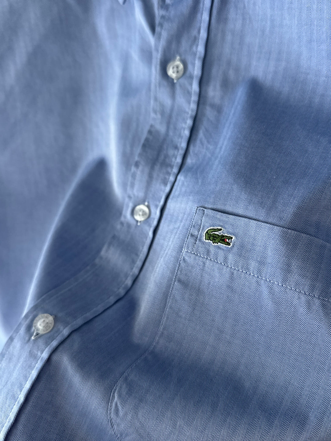 Camicia Lacoste - L