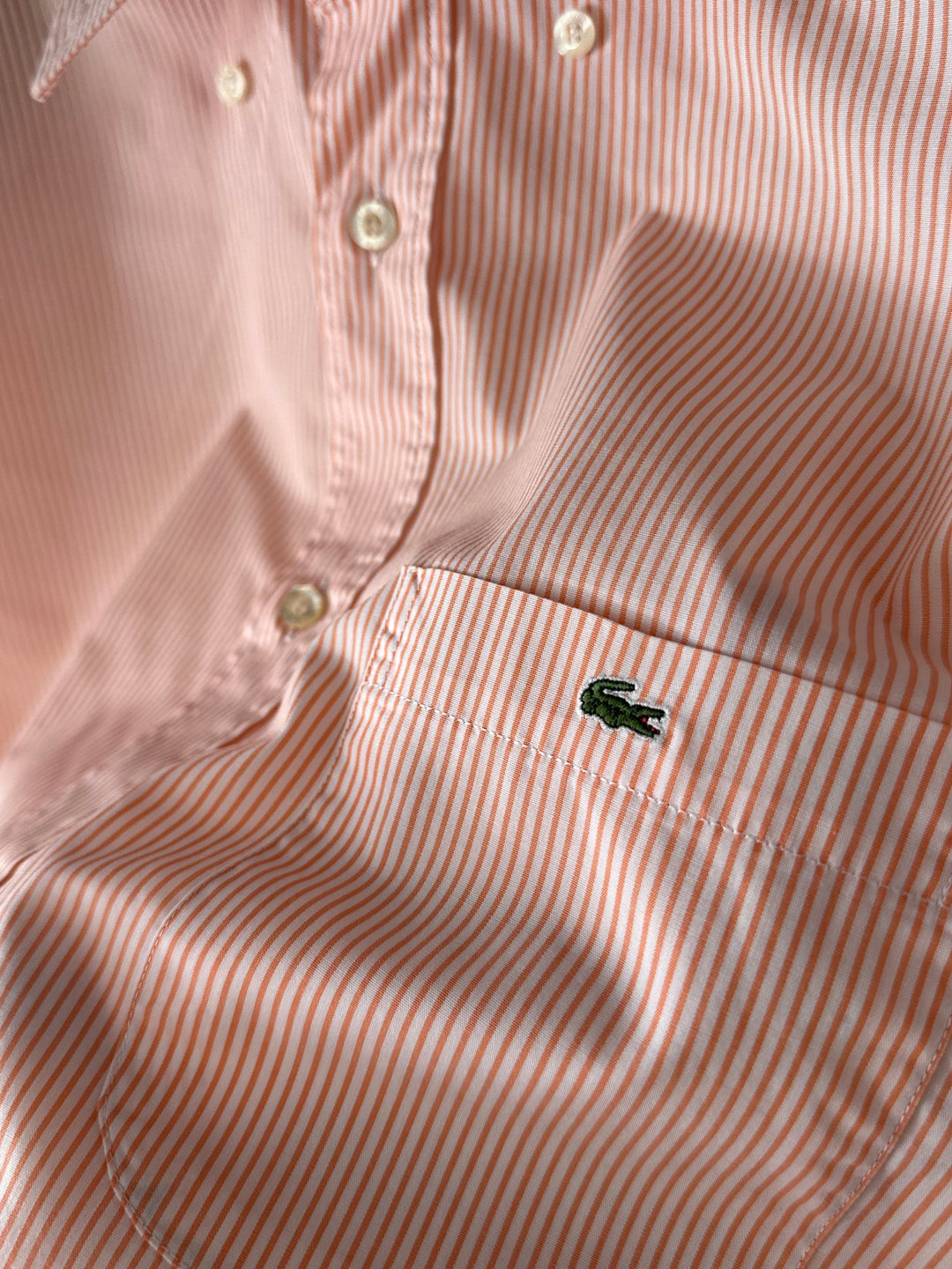 Camicia Lacoste - L