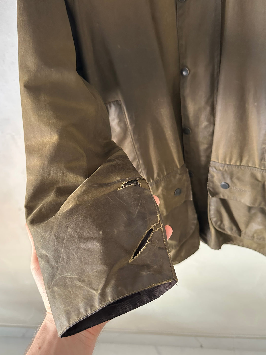 Cerato Barbour - L