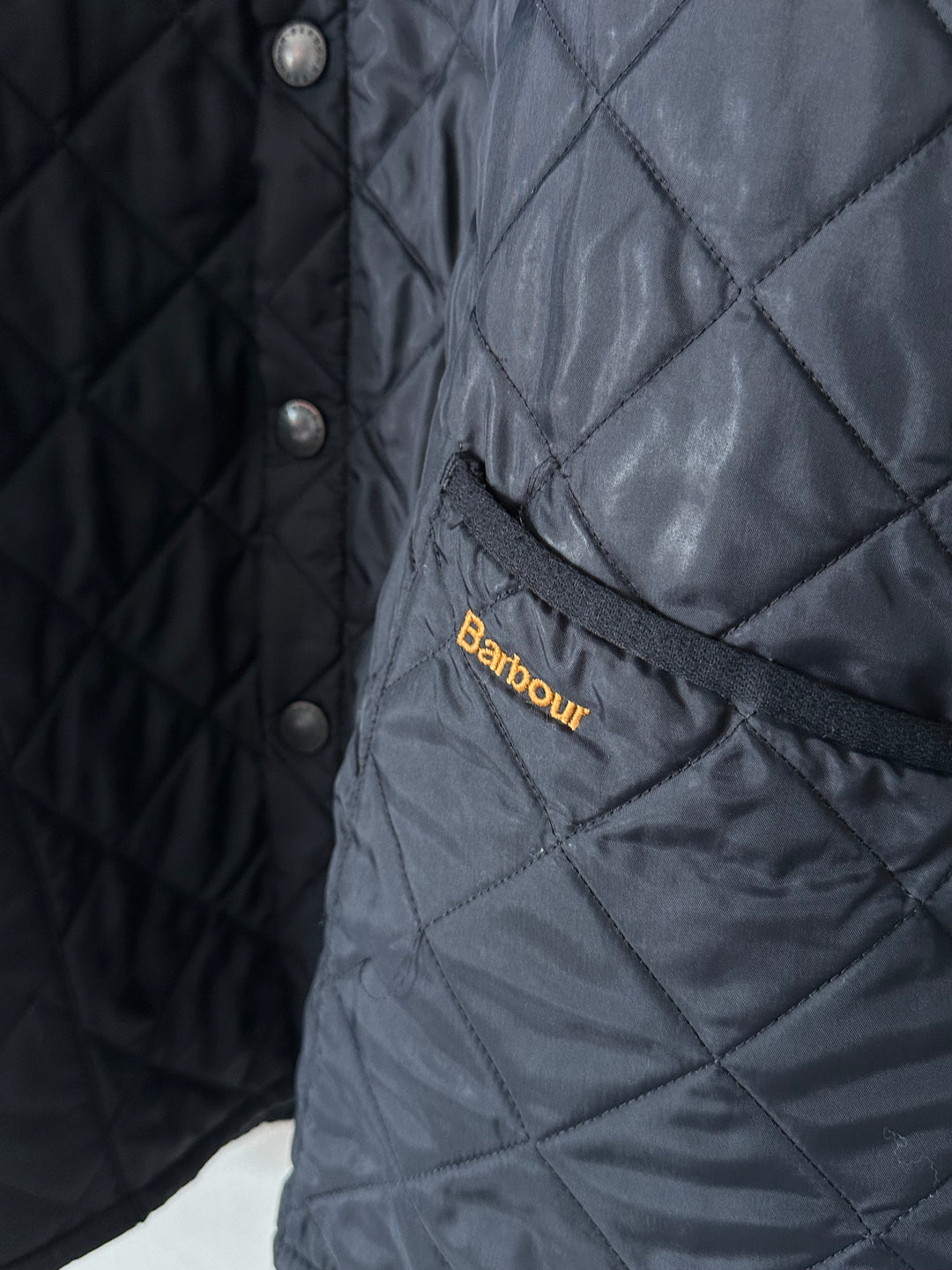 Trapuntato Barbour - L