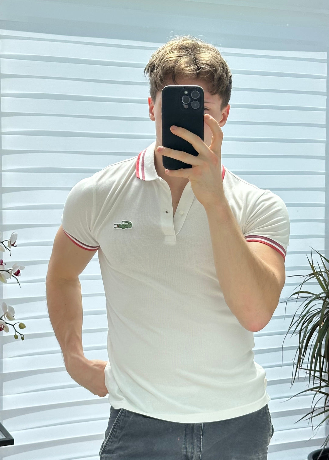 Polo Lacoste - S