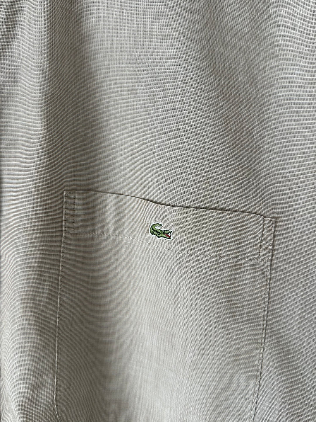 Camicia Lacoste